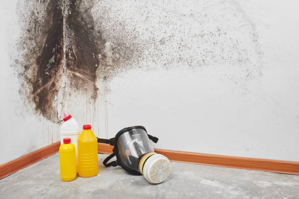 Best Crawl Space Mold Removal  in Delafield, WI