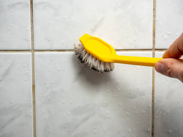 Mold Removal Process in Delafield, WI
