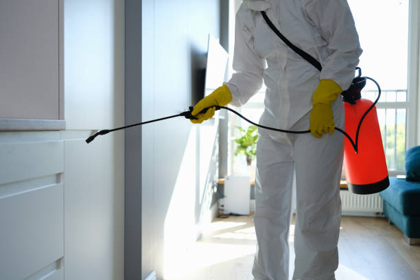 Best Crawl Space Mold Removal  in Delafield, WI
