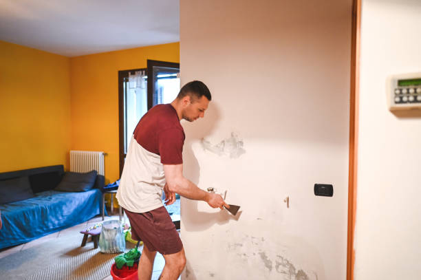 Best Mold Removal Near Me  in Delafield, WI