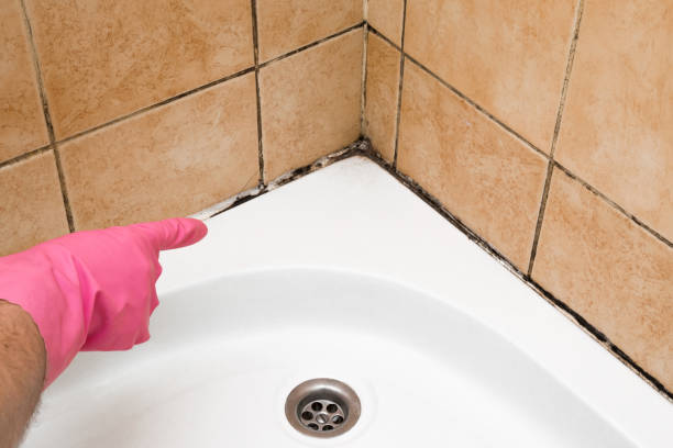 Best Professional Mold Removal  in Delafield, WI